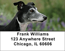 Whippet Address Labels