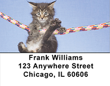 Maine Coon Address Labels
