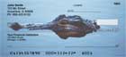 Alligators and Crocodiles Personal Checks